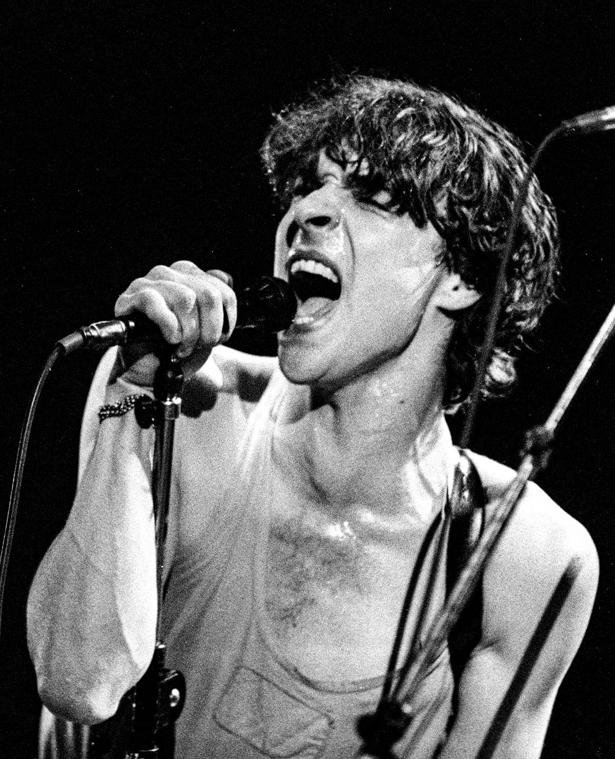 Langarydsattlingar | Joakim Thastrom Langarydsattlingar | Joakim Thastrom